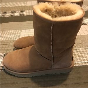 Men’s Chestnut uggs